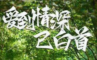 命运冠位嘉年华在线免费