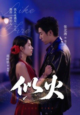 红高粱第二十一集免费观看