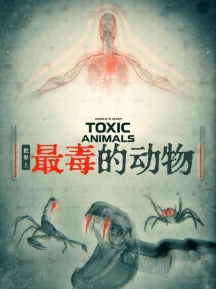 《地下黑皇》张夜是谁的孩子啊视频讲解下载观看