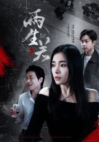 《小巷人家》分集简介视频下载安装手机版