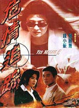 苏有朋《刁蛮公主》演员表介绍大全图片