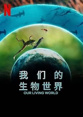 美国电影《宿敌》完整版在线播放视频
