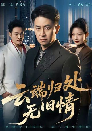 第九十九次离婚后我消失了短剧