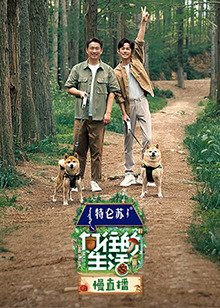 一千零一页主要内容
