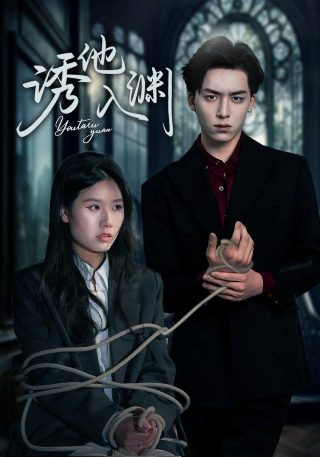 电视剧追击者28集介绍
