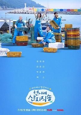 枭起青壤在线观看全集电视剧