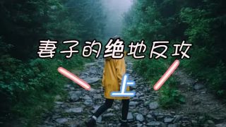 凤行电视剧全40集免费下载