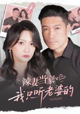 乡村爱情14集观看