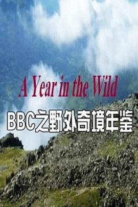 斗破苍穹年番118在线观看免费版