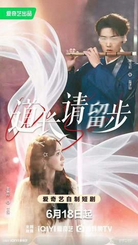 海贼王 在线观看 下载国语版电影