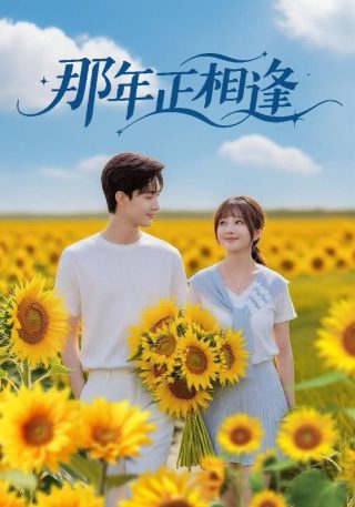 高低温试验机