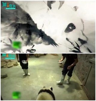 好久不见歌曲