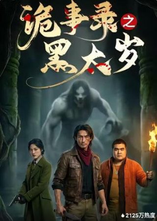 战地神探电视剧全集免费播放在线观看高清