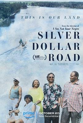 操纵的城市免费观看完整版电视剧