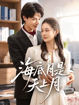 南海十三郎百度网盘