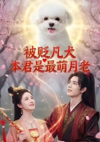 《回家之旅》书籍推荐内容怎么写的