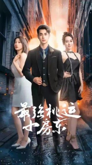 红楼梦白话版完整免费版