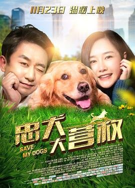 六人晚餐好看吗知乎