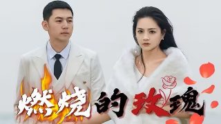 极致复仇百科百度云资源下载网站