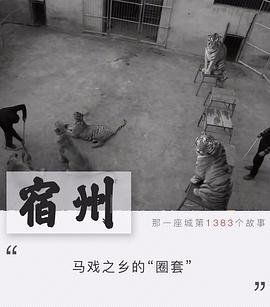 校园剧《最好的我们》演员表名单