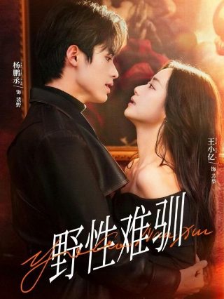 丝绸之路的意义和贡献