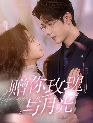将军夫人请休书全集免费观看