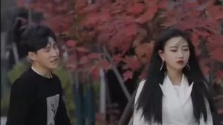 火箭之夏电视剧在线观看全集