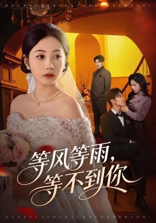 狗狗搞笑视频合集