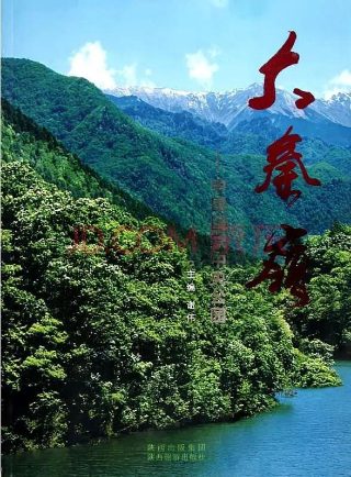 电影《漫游》在线观看中文版免费下载