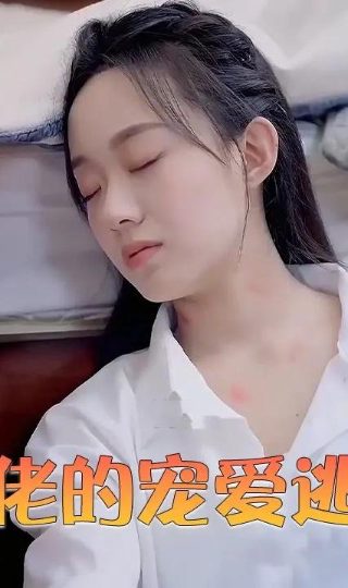 臭头小子免费播放完整版在线观看视频