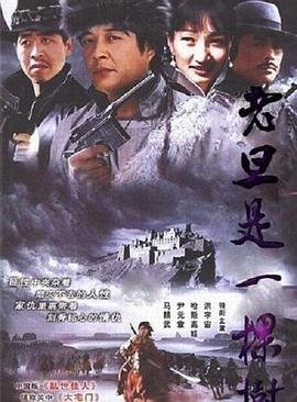 一个完美的结局在线播放