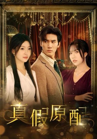 情深如许百度云下载资源网盘