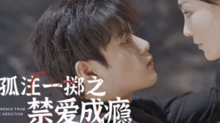 迁徙的鸟大地的主人歌曲是什么歌