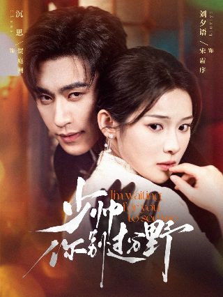 《下一站婚姻》34集在线观看视频播放下载安装