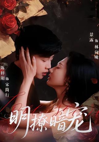 《胜利女排》动漫在线观看免费全集高清