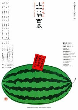 维达斯SS101后级