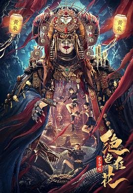 桑小姐她不好惹全集免费观看