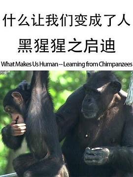怀旧老歌《回头太难》歌词大全视频播放下载