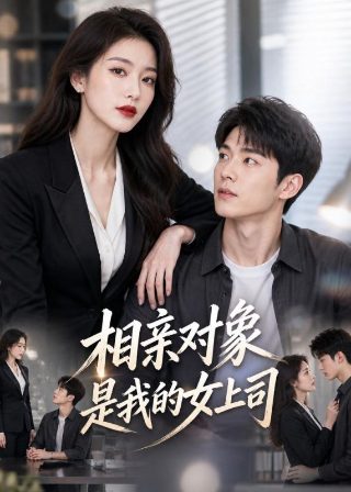 间谍过家家第2季免费观看星辰影院