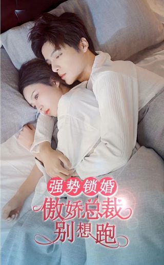 电视剧《踏破硝烟》有哪些精彩片段呢