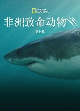 《起风了》原唱中文谐音翻译歌词视频下载