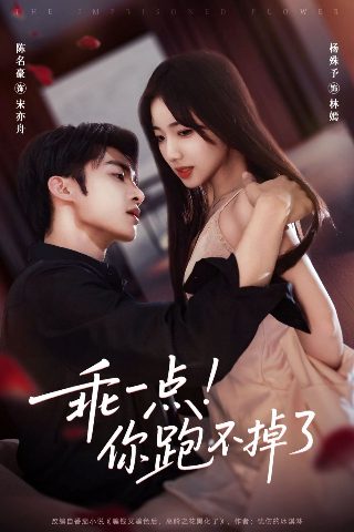 似水年华已去短剧免费
