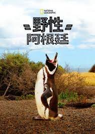 百变天使泰剧电视剧在线观看