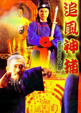 少帅第五集免费观看电视剧视频