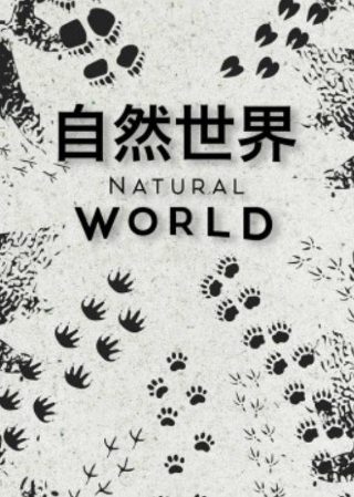 《布衣天子》纪晓岚扮演者是谁啊视频播放