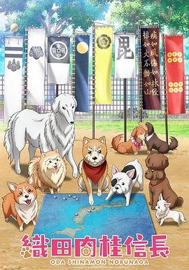 双面胶电视剧全集免费观看爱蝶