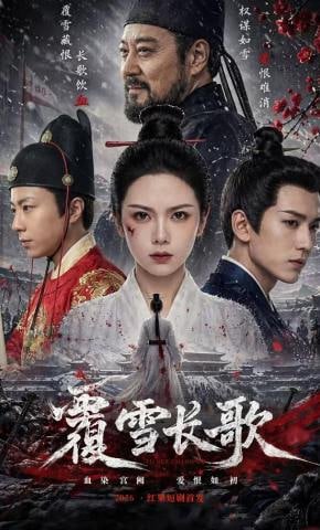 离婚律师申晟瀚是谁