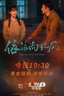 一双绣花鞋全集播放免费观看下载视频