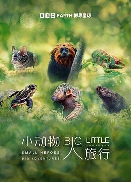 生死96小时免费播放完整版