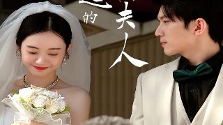电视剧 妻子的选择